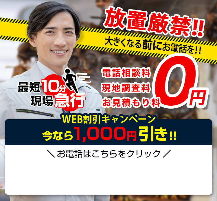 蜂駆除のプロが あなたを守ります！