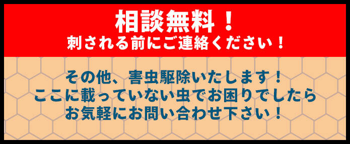 その他、害虫駆除いたします！ここに載ってないない虫でお困りでしたらお気軽にお問い合わせ下さい！